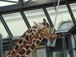 Tiergarten Schönbrunn am 24.02.2026